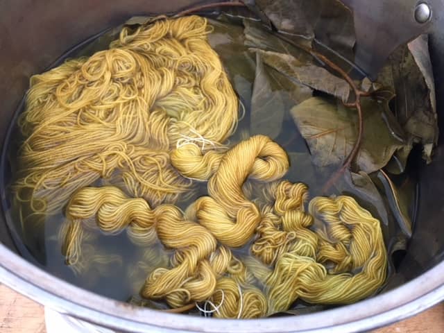 Golden yarn dye bath