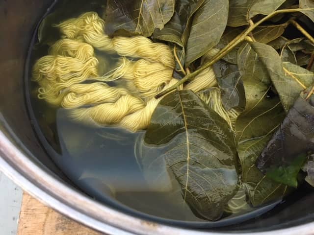 Bright yellow yarn in a dye bath