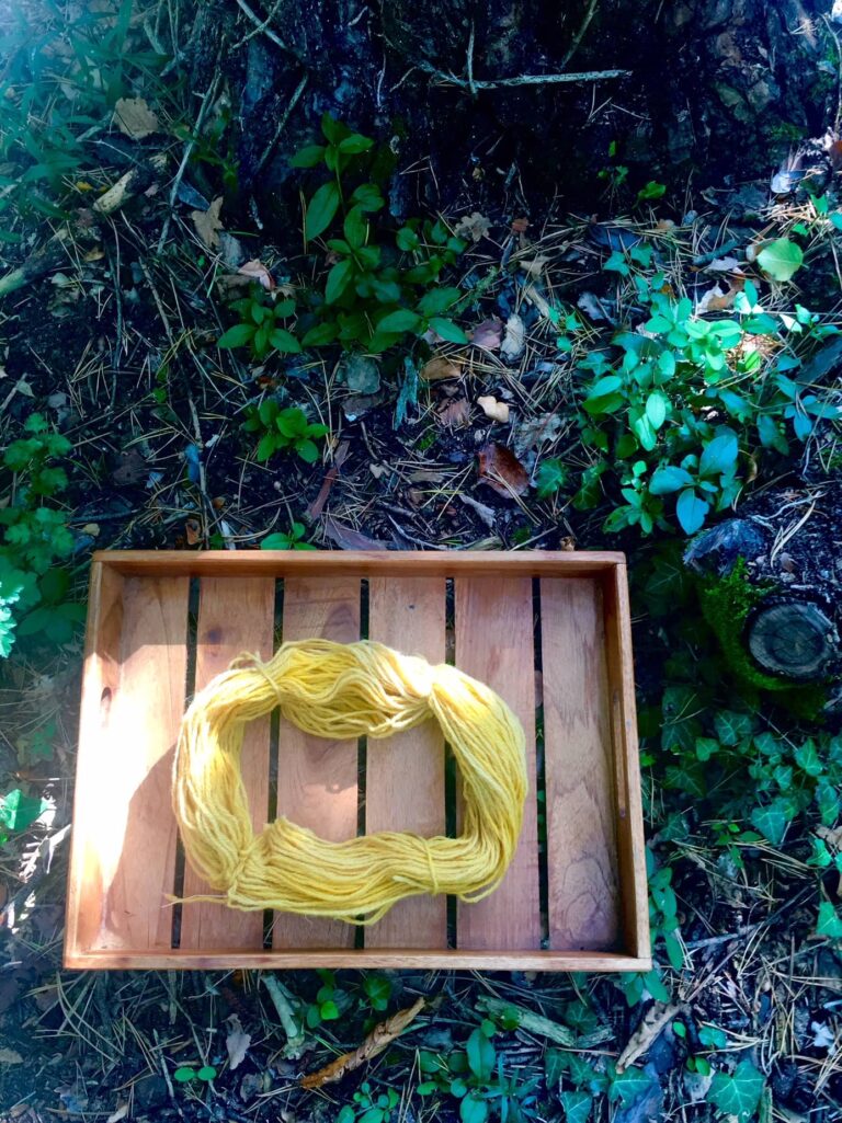 One skein naturally dyed with Turmeric is set on a forest floor