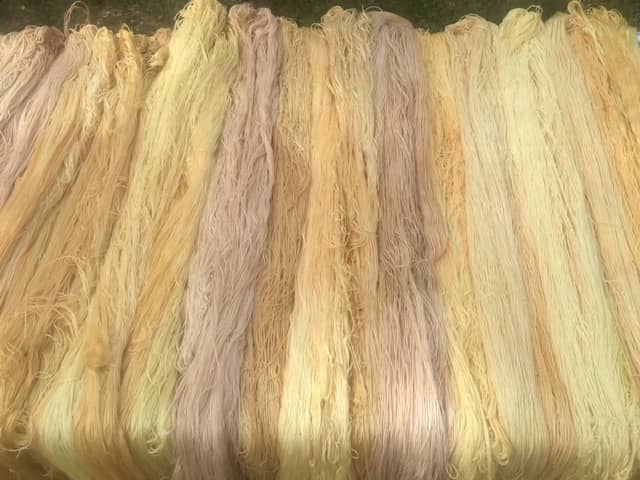Vegan skeins dyed with plants containing the flavonoid compound to illustrate the chemistry of natural dyes