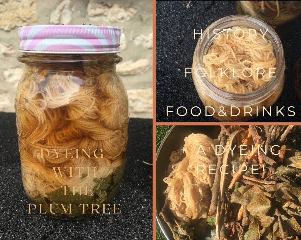 Natural Dyeing with Plum tree leaves dye bath