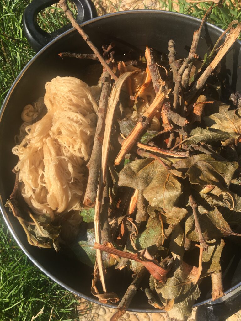 Natural dyeing of plum tree leaves in a pot in the sun with yarn