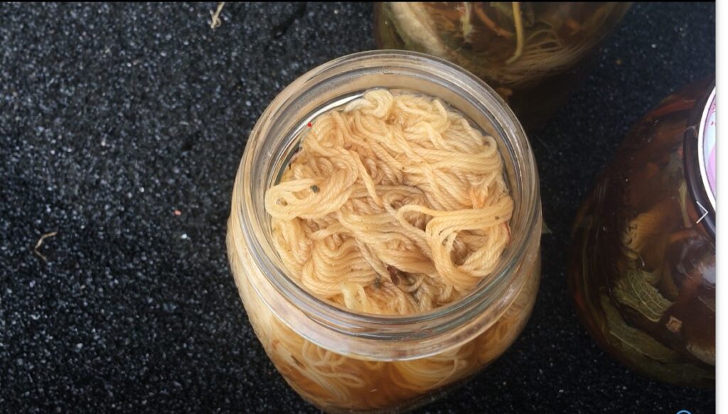 Yarn dyed with plum tree leaves in a jar